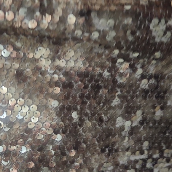 Sequin Dress - Picture 3 of 6